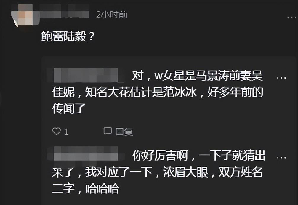 吴佳妮陆毅为什么分手图片