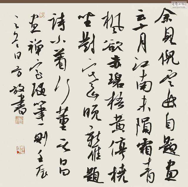 美女书法家方放的字究竟如何？前辈的评价可能出乎意料_东西_网友_书家