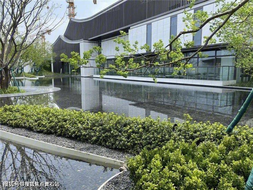 关于路劲象屿岛上的院子最全的楼盘详情_手机搜狐网