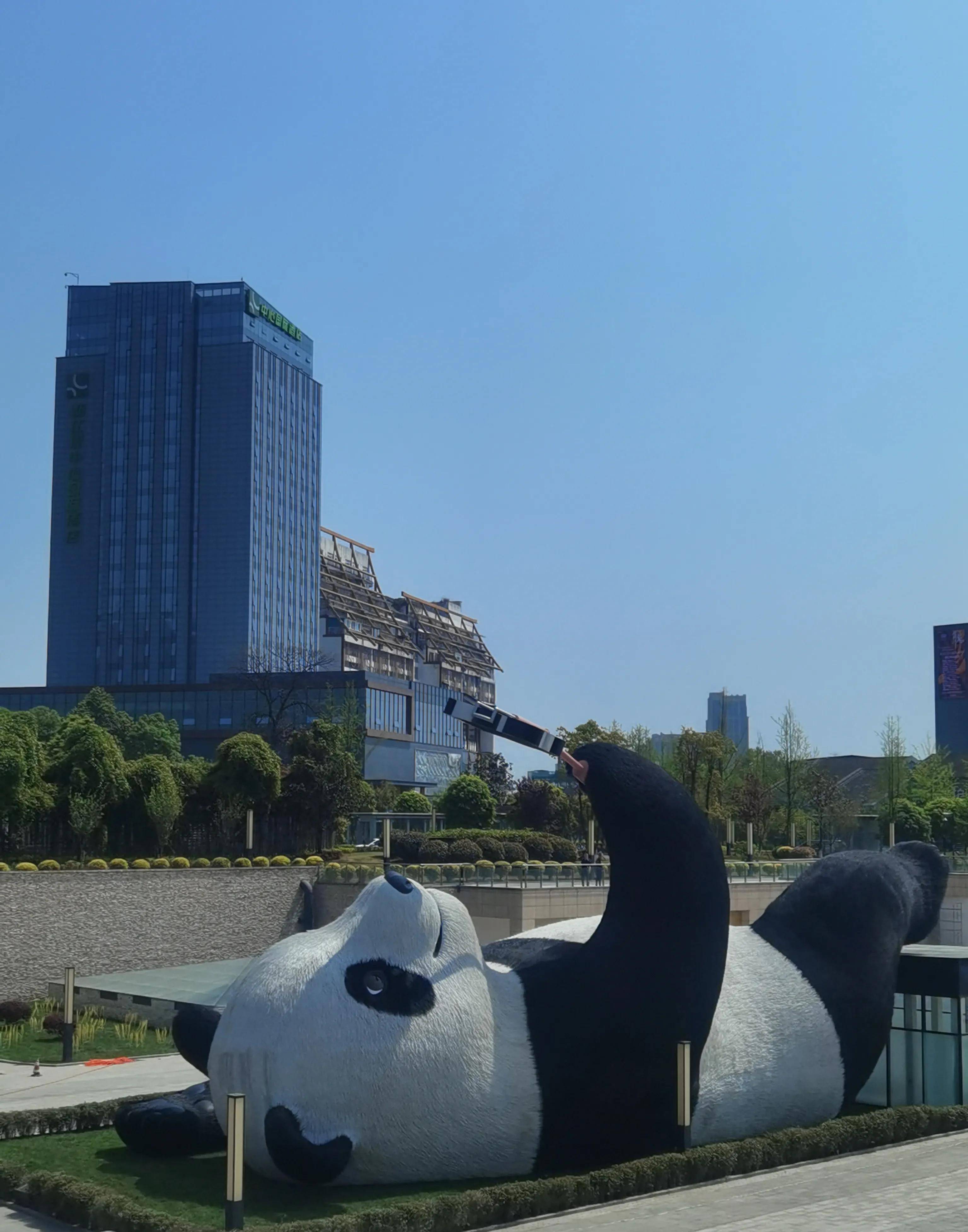 来都江堰和世界最大的熊猫玩自拍了