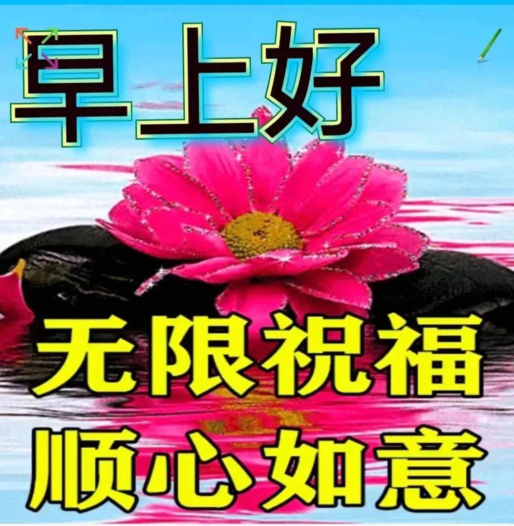 8张最新早上好漂亮图片大全,早上好问候语推荐早安群发问候祝福语精选