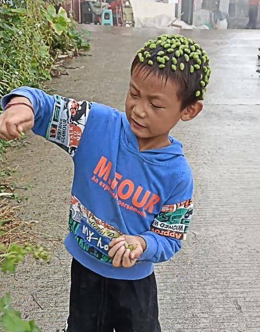 云南7岁男孩路边摘苍耳扎满头