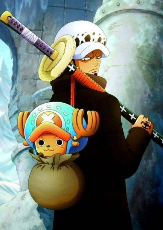 海贼王:唯一不受草帽团沙雕属性影响的人-罗_路飞_多弗朗明哥_人气