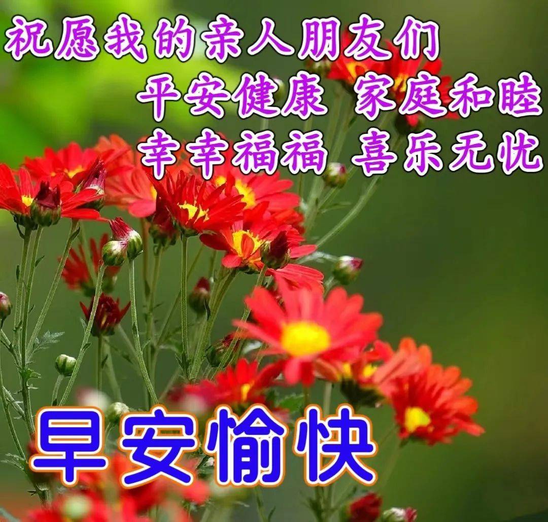 1月16日周一早上好,精选早安暖心祝福图片带字带早上好语录_问候_平安