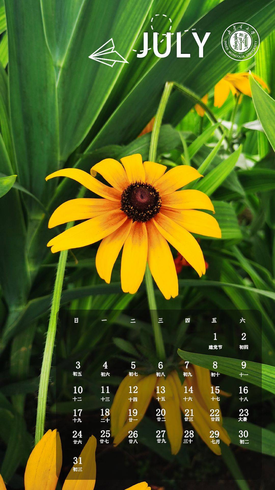 内蒙古大学考研|内大花朵壁纸_夏日_辅导_同名