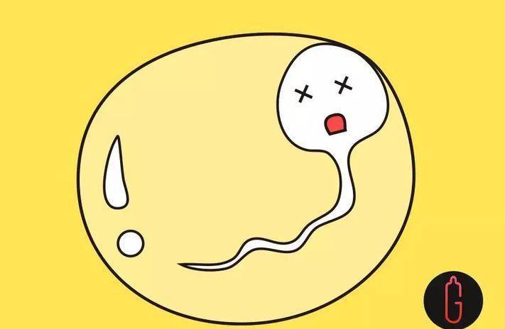无精子症的孩子从何而来_先生_睾丸_温度
