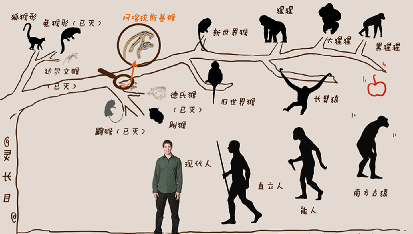 从进化来看，人类繁衍后代，男性与女性哪一方付出得更多？_搜狐网