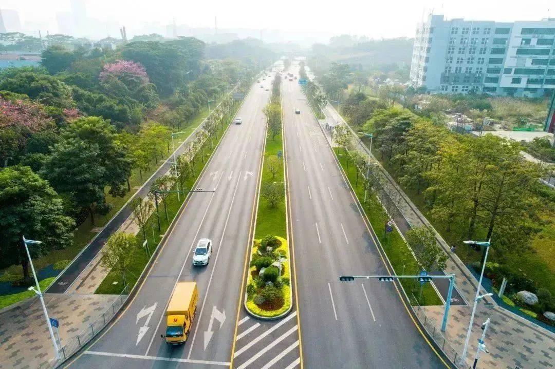 深圳爱国路花市里的中装风景,你get到了吗?_年味_园林_市政