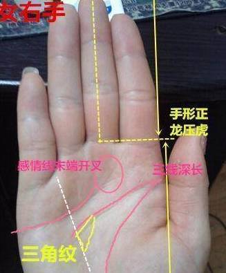 碰到了"龙眼纹"手相的人,千万珍惜!娶回家可是你修来的福气!