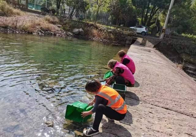 富阳湖源乡巾帼力量助力情况卫生大整治