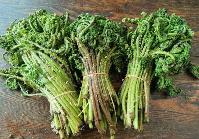 东北农村,常吃的16种山野菜,现在城市里很少见,你吃过几种?