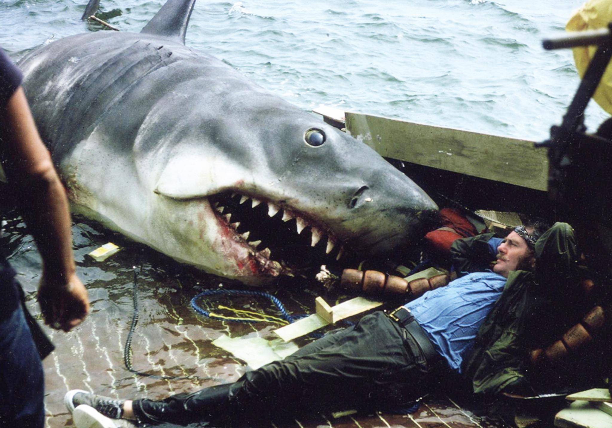 从经典电影《大白鲨》看斯皮尔伯格如何抓住机遇 成就自我