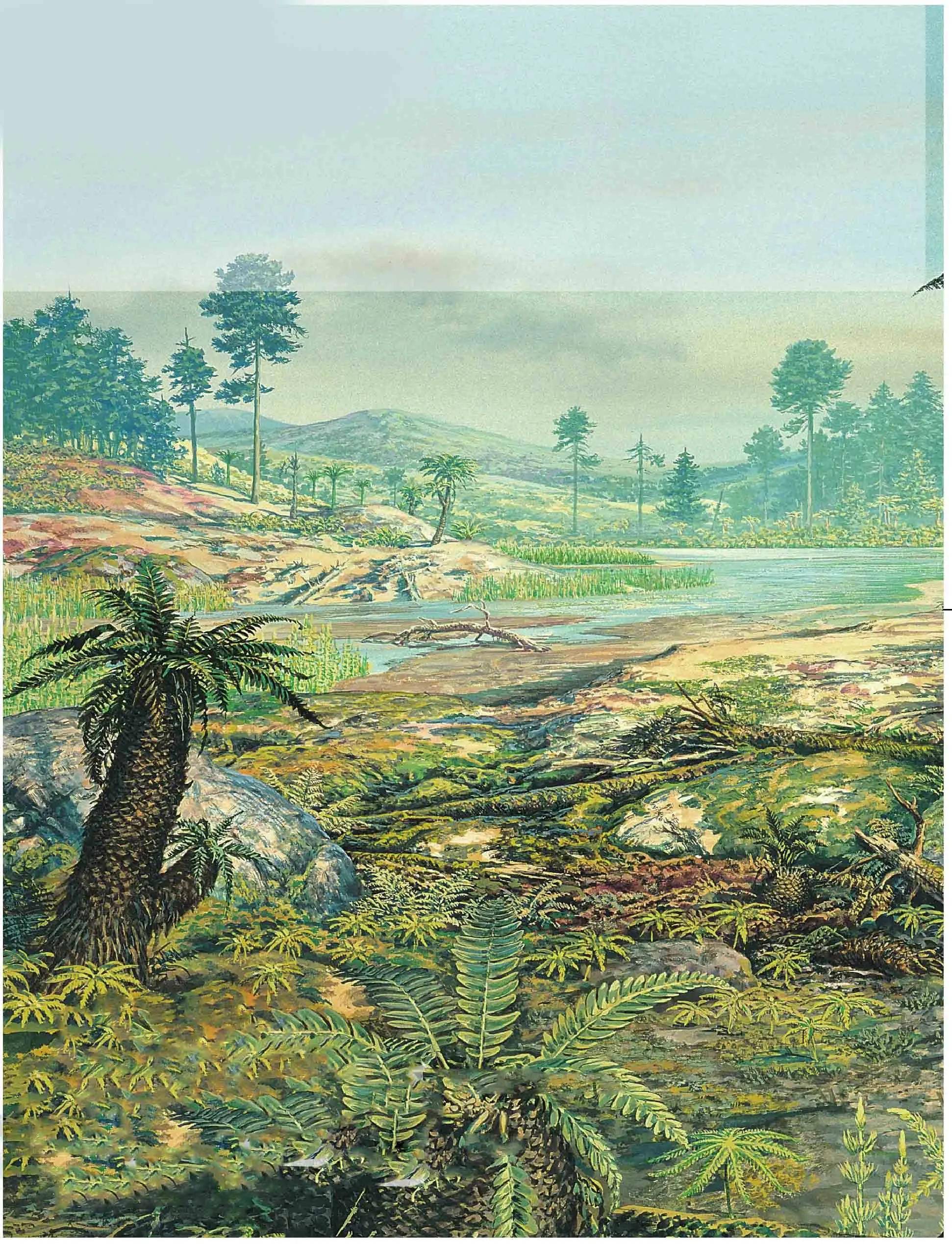 曾经的三叠纪蕨类植物林不可否认的是,恐龙能在三叠纪晚期崛起,并最终