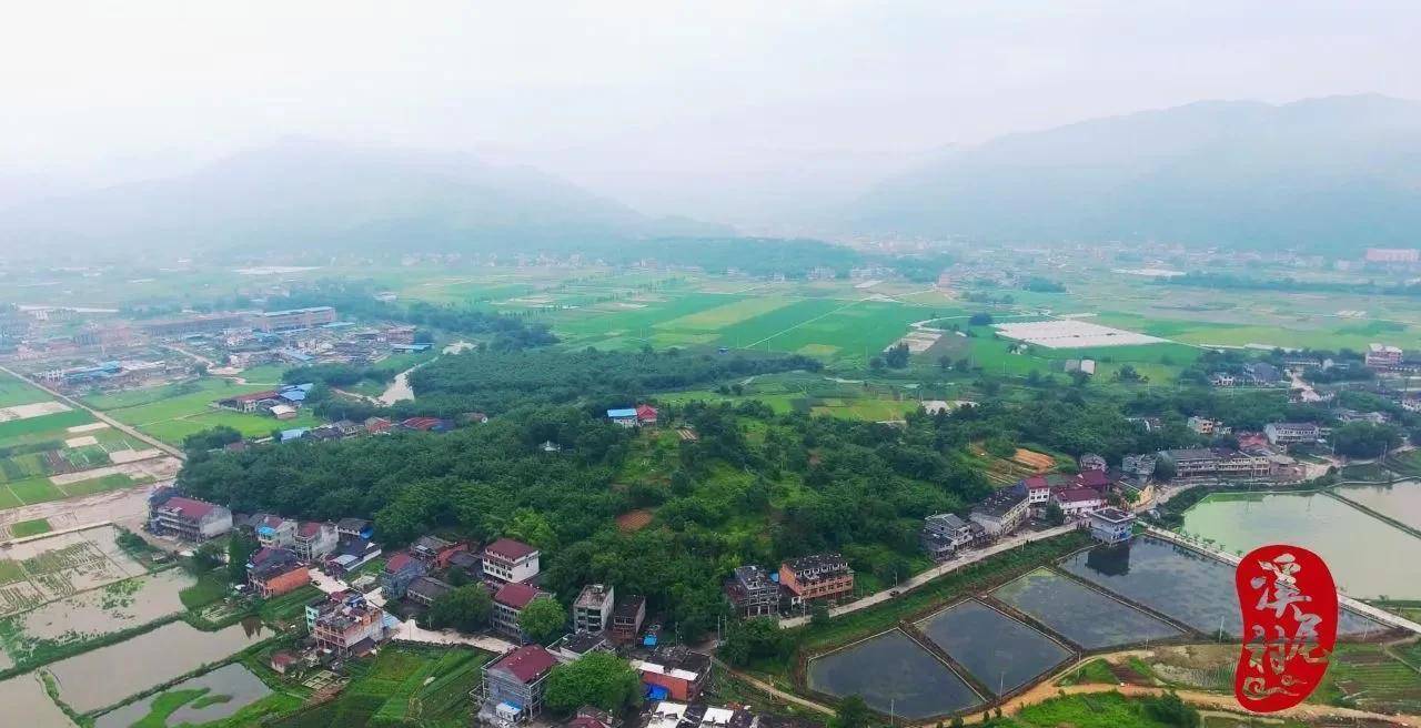 水头镇全景图片