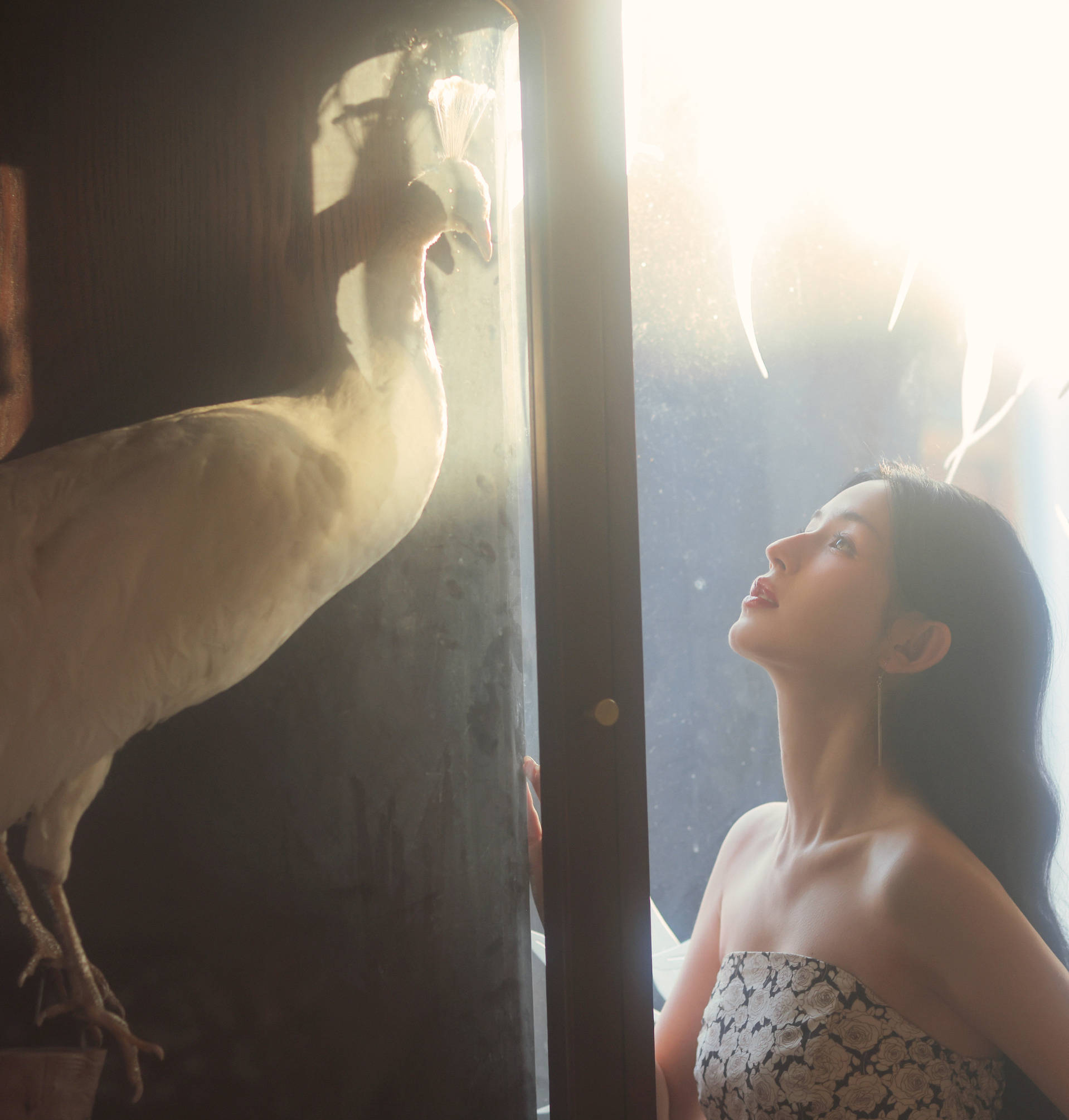 哈妮克孜生日照复古有韵味 面颊红润宛如油画少女-搜狐大视野-搜狐新闻