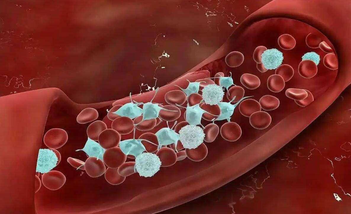 可能进化出超能力?_血型_血液_功能