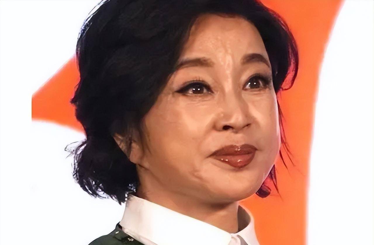 耳垂下垂,表情僵硬,从刘晓庆到伊能静,明星拉皮感真的很明显_痕迹