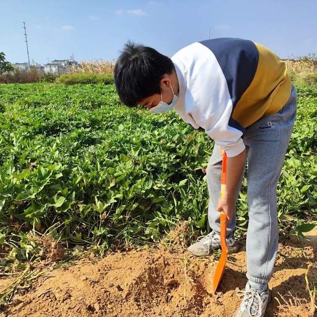 劳动实践照片图片