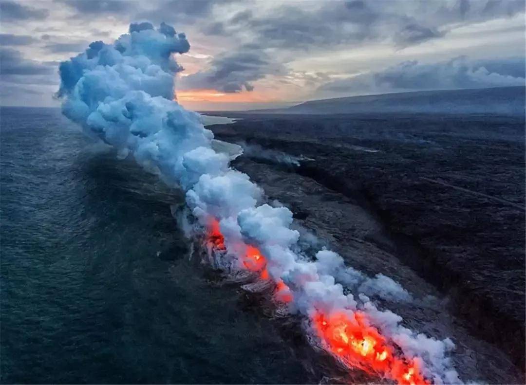 全球最耐热的动物,岩浆中也能毫发无损,网友:把火山当泳池了?