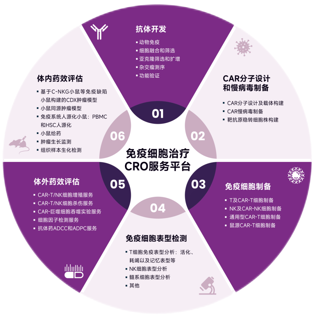 选择注册公司，开启商业发展新篇章
