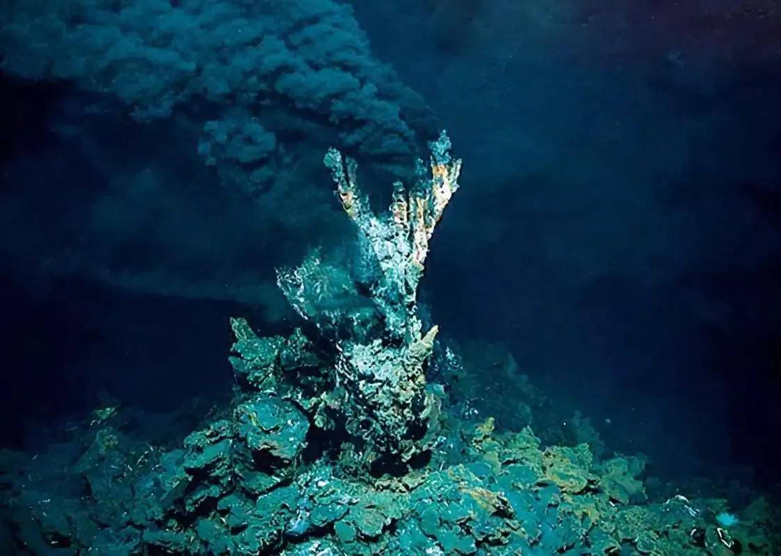 庞贝_蠕虫_高温