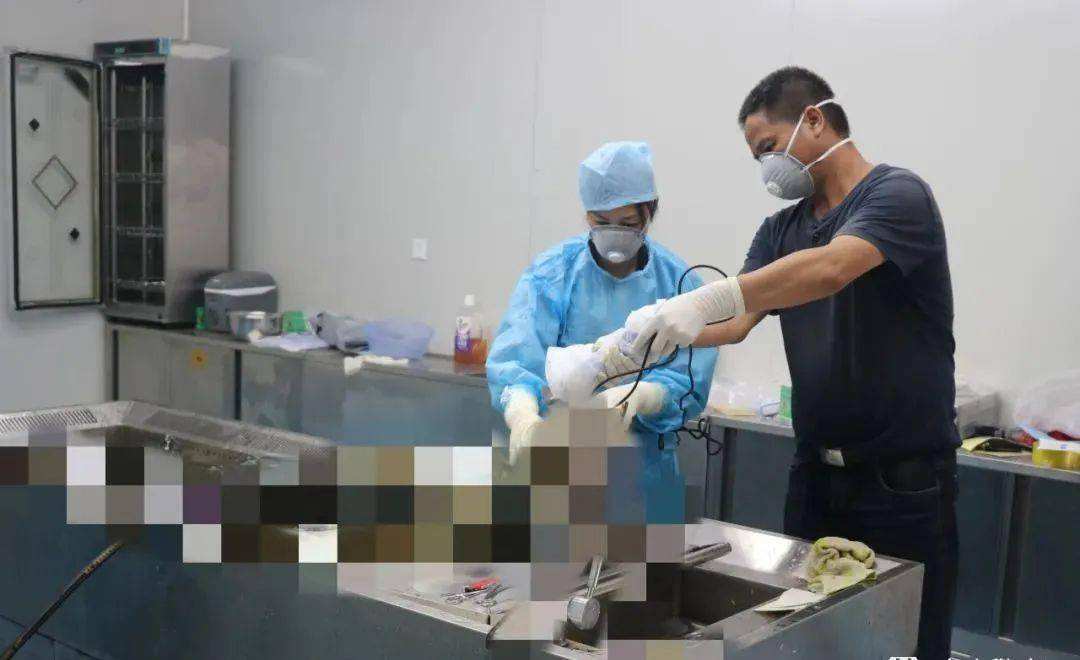 女子腹痛146天后,法医在尸体内发现3块纱布!