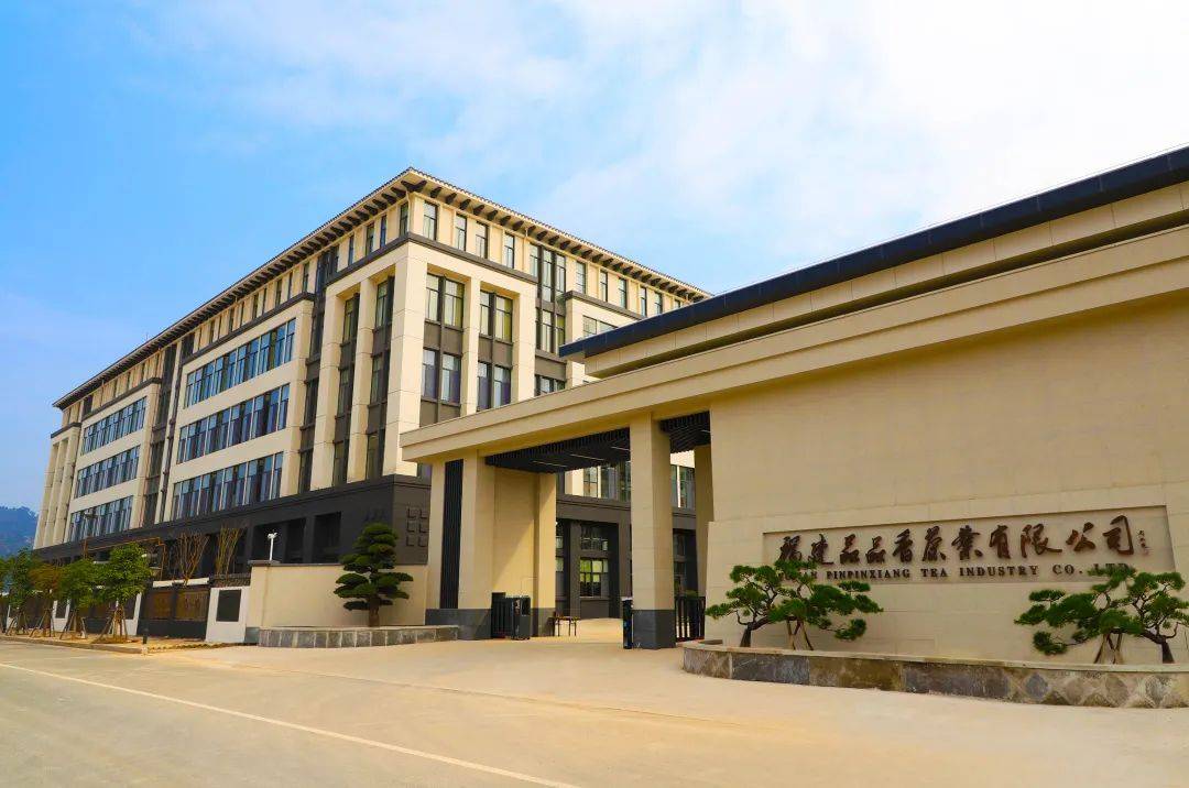 品品香林振传:唱响宁德茶产业山歌,走出闽东特色乡村振兴之路_发展