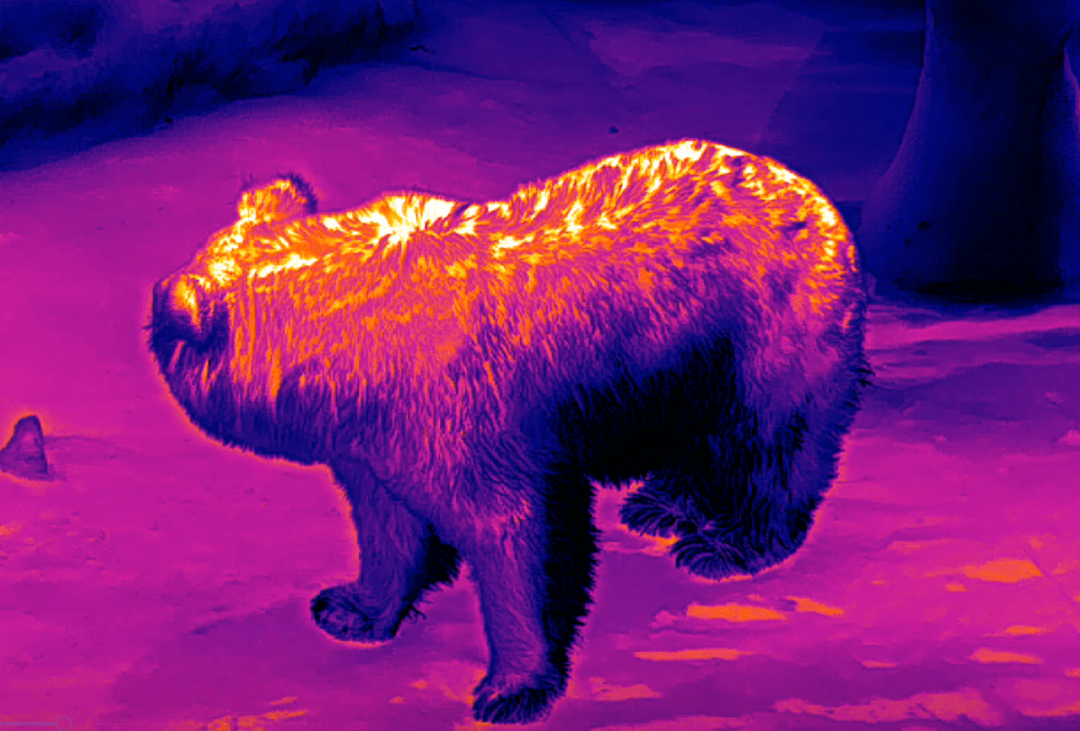 普雷德热成像镜头下的动物视角也太有趣了_产品_马群_羊群