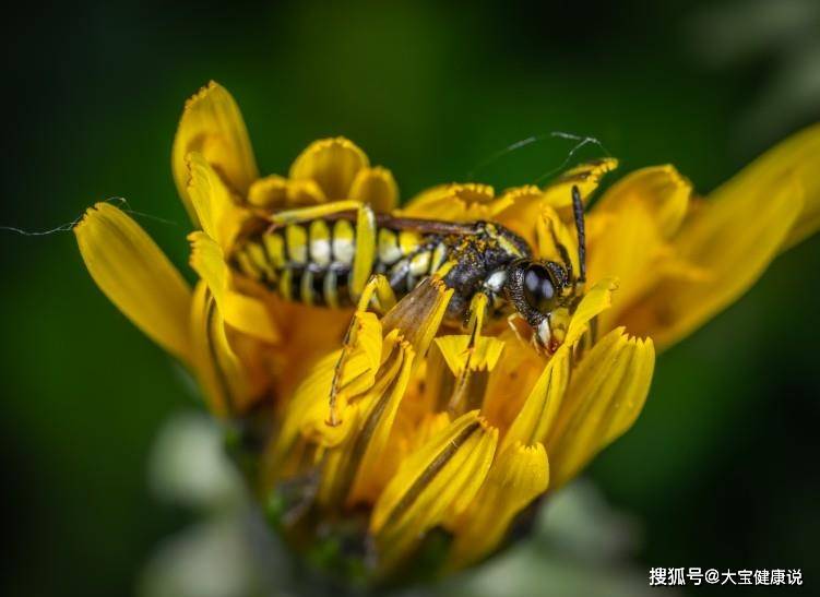 2月底,紅鸞星動,老月領姻緣,偶遇愛人,4生肖_異性_感情_桃花運