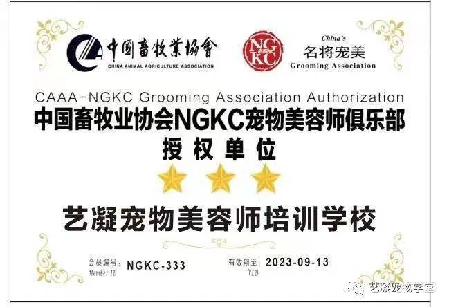 哈尔滨艺凝宠物美容学校，赛事预告|NGKC3月17日哈尔滨站，