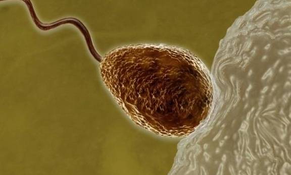 或许跟身体这3点有关!_问题_进行_情况