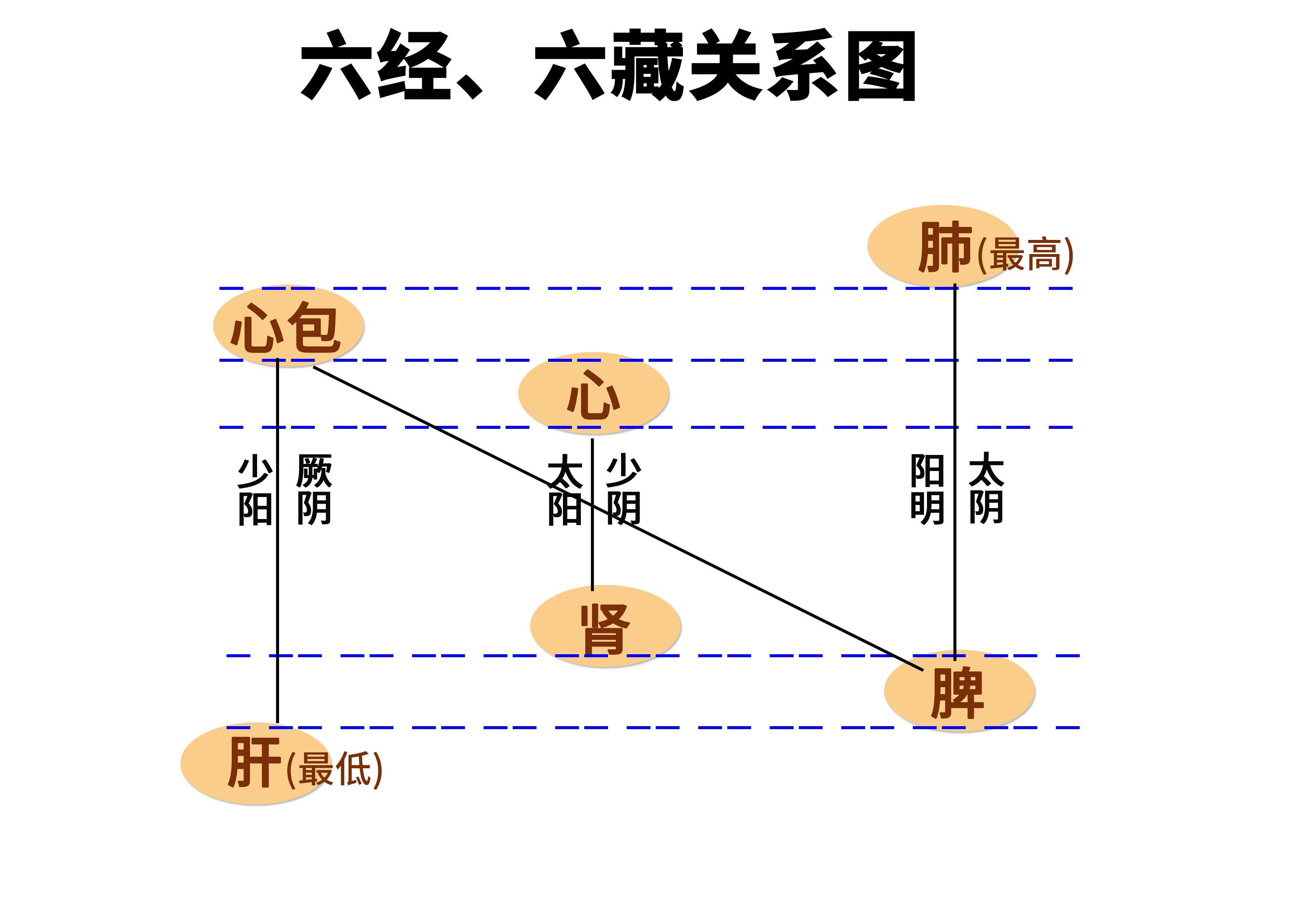 人体水液代谢全过程图图片