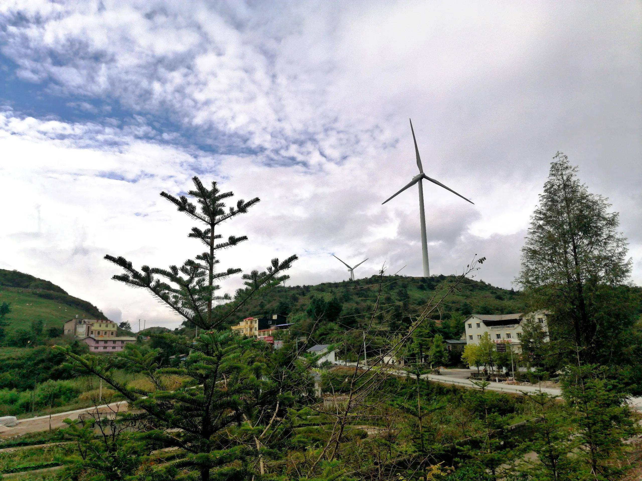 湖北有一个山顶草原,是南方最大的草场,位于恩施利川_齐岳山_风景