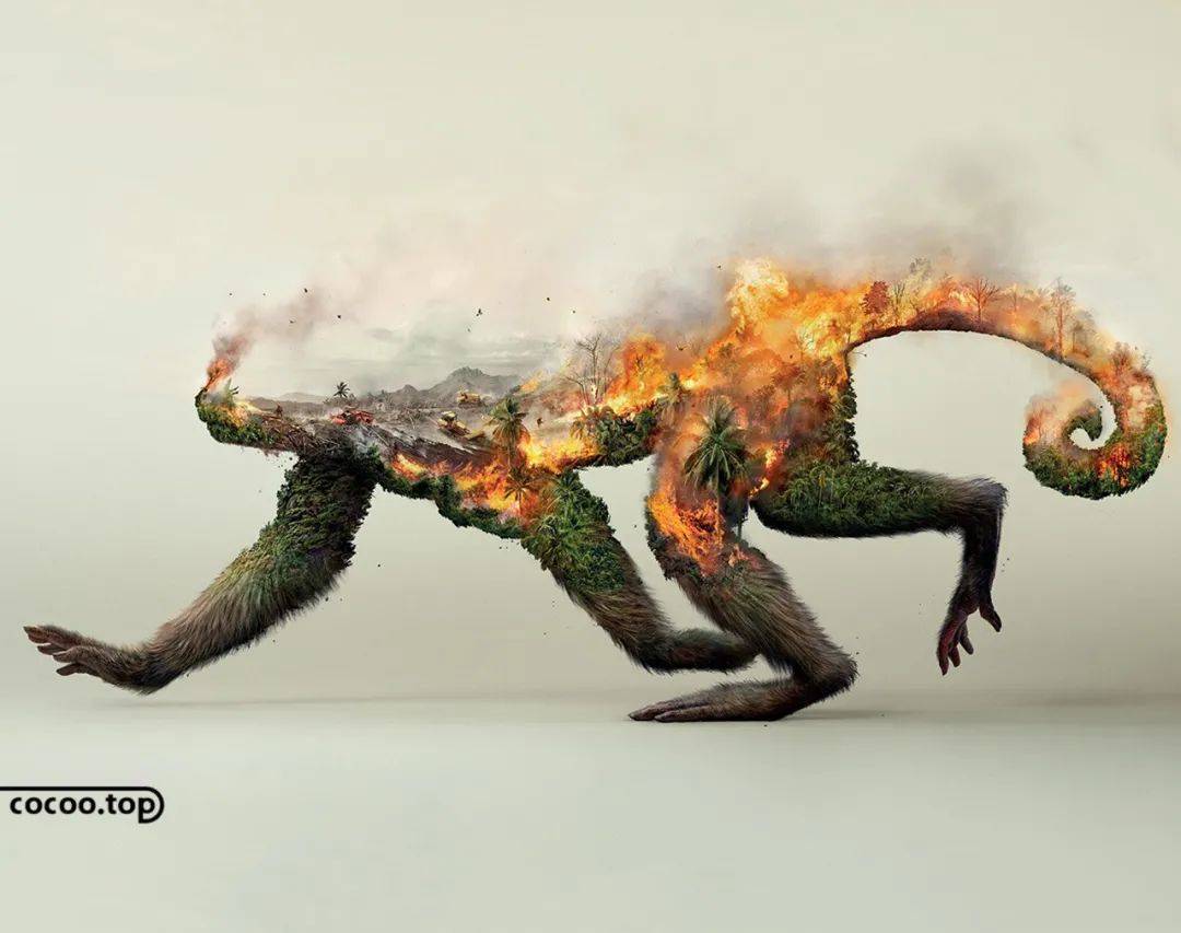 学习创意广告图形设计技巧和规范_物体_进行_视觉