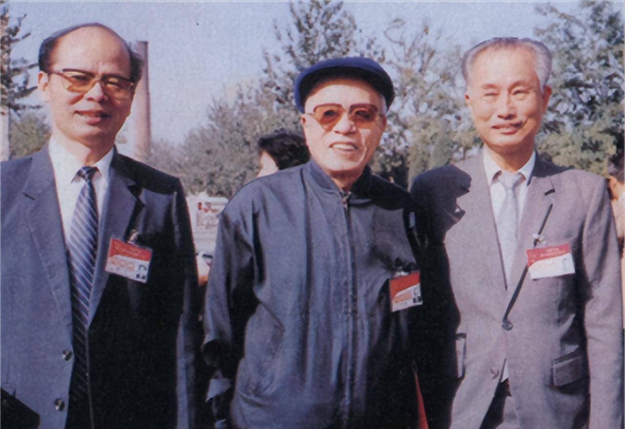 1988年王光美拜访林若被拒,第二天只身一人前往,进门后明白原因