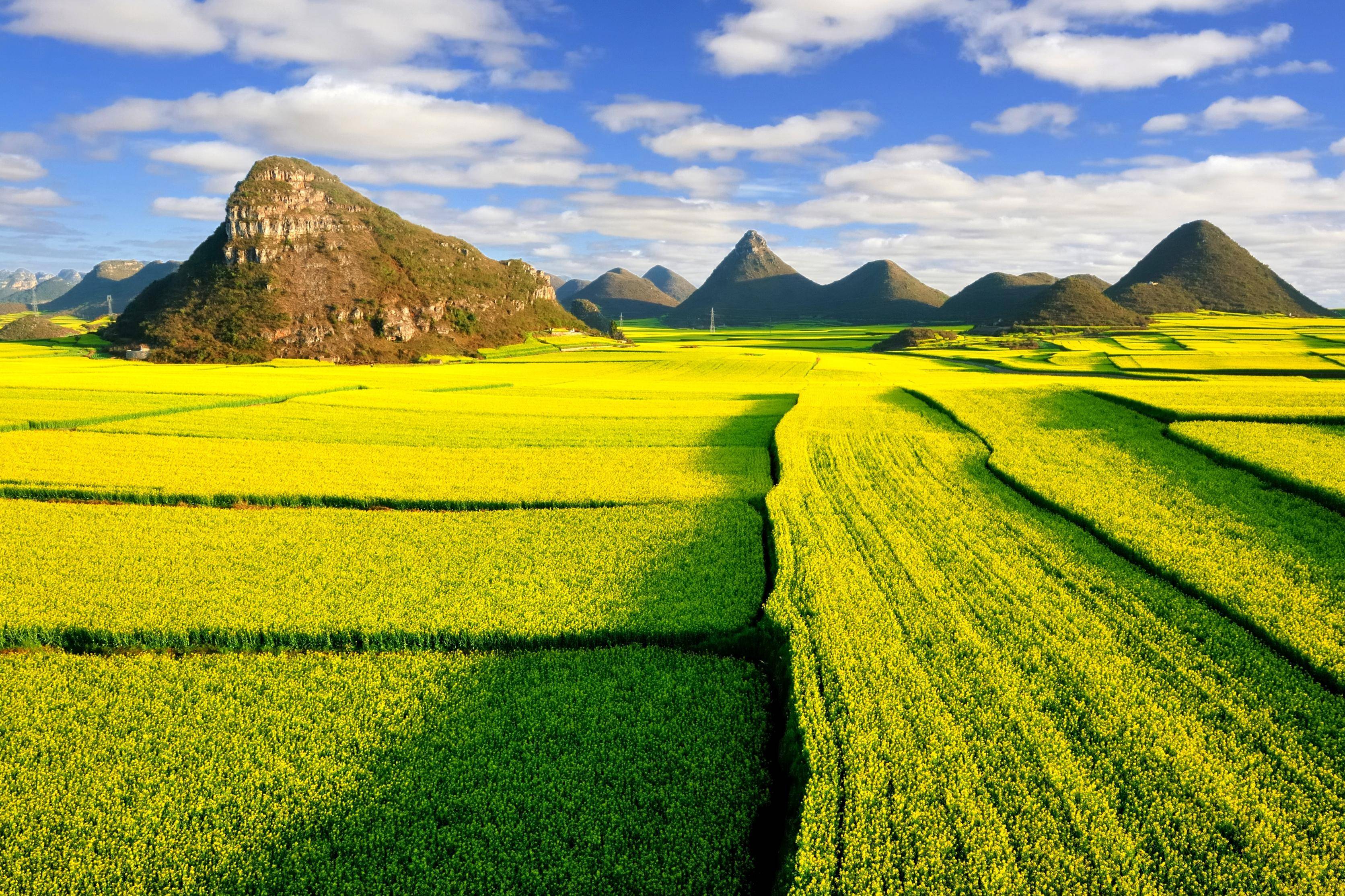 兴义油菜花最佳地点图片