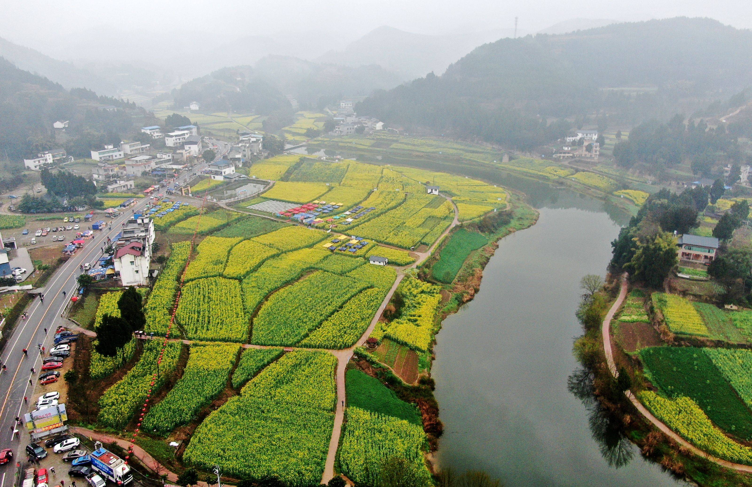 绵阳三台县三元油菜花节启幕_周兴_三元镇_图书