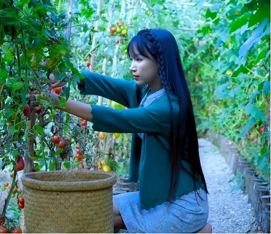 赚22亿仅得300万,李子柒真的是害了自己吗?