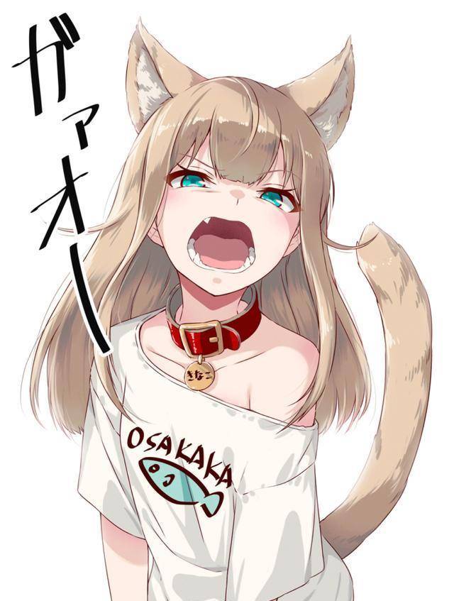 "快给我变"表情包走红,来分享一只我超喜欢的猫娘_猫咪_作品_什么