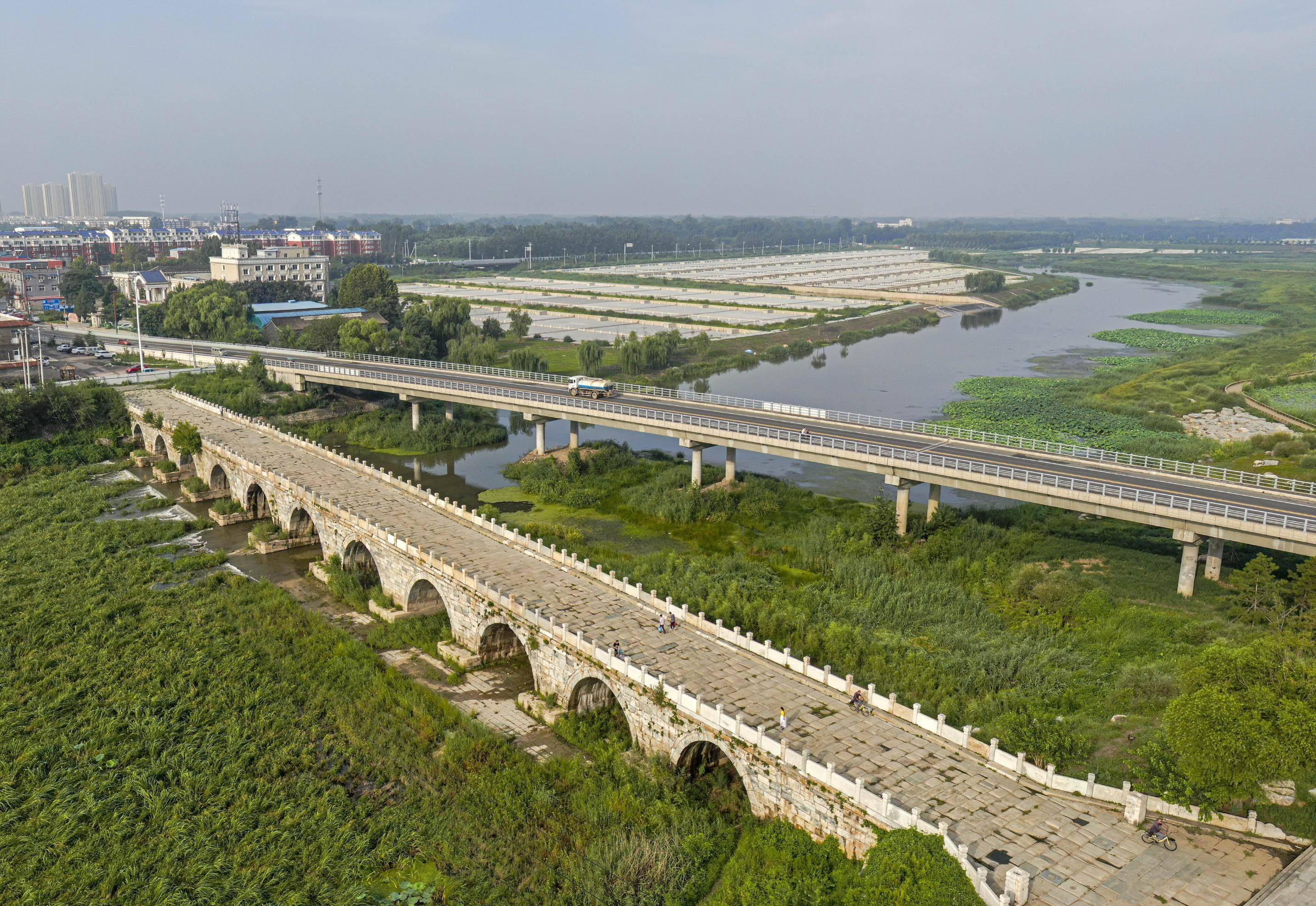 北京房山琉璃河湿地公园200只天鹅哪去了?