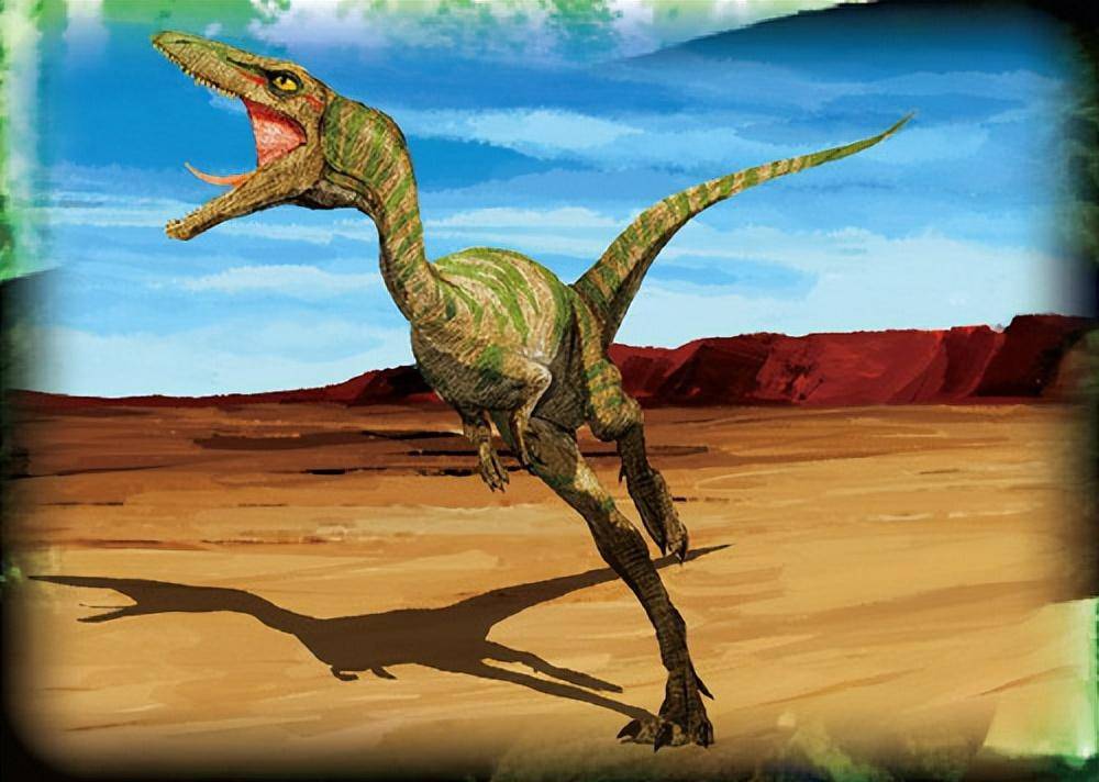 伊希斯龙 来自搜狐网