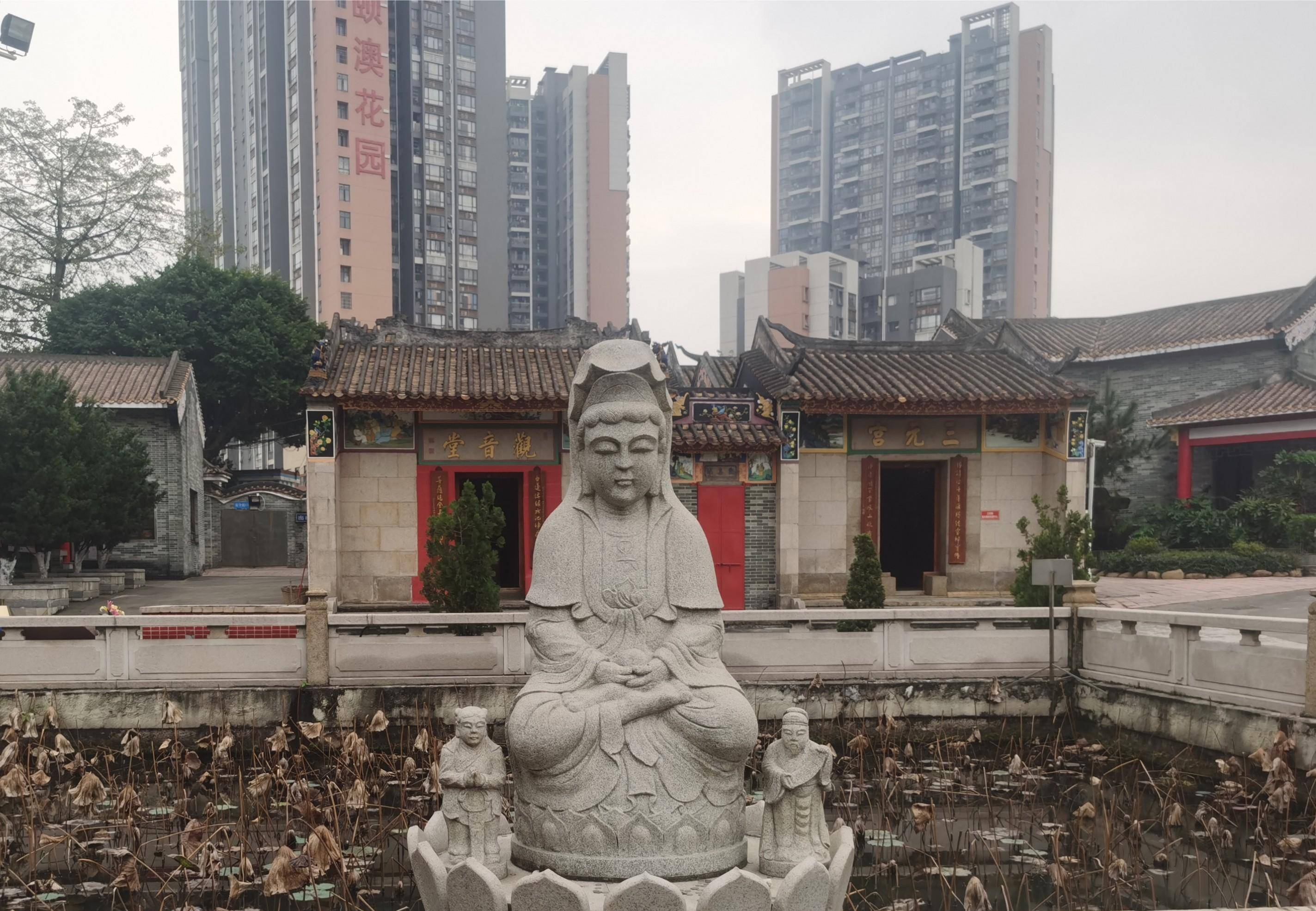 时隔三年,容桂观音堂重启开库,想搞钱的小伙伴千万不能错过_国道_因为