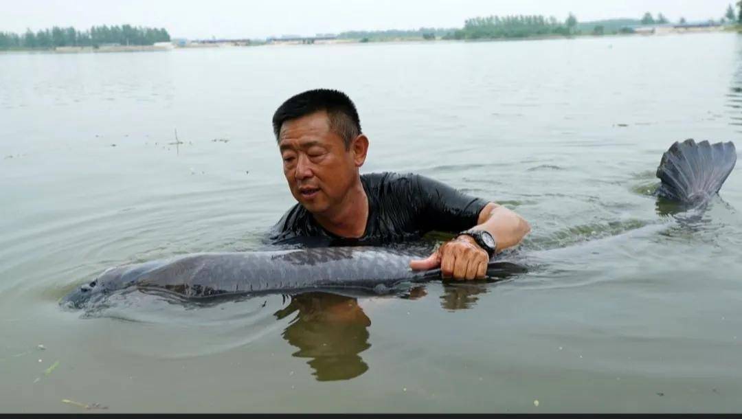 盘点捕鱼界顶尖高手,"捕鱼之王"依旧时尚_渔业_刘志强_钓友