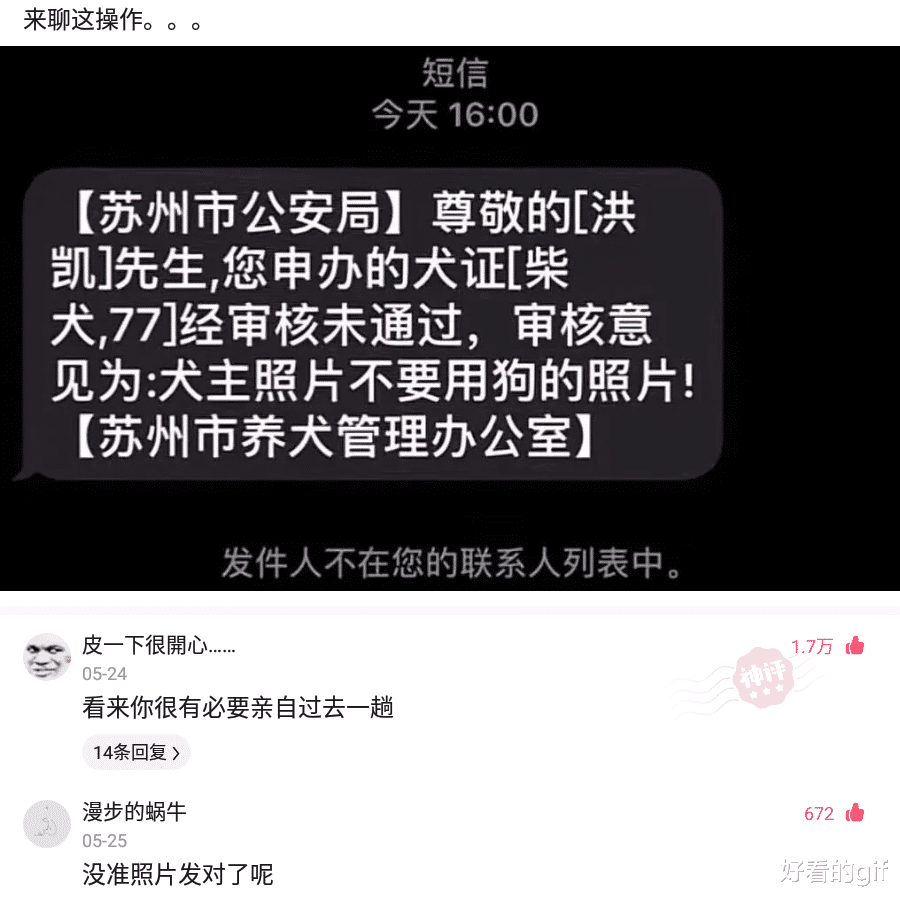 “我刚做的抹茶蛋糕，筹办开一家糕点铺子，各人觉得怎么样？”哈哈哈