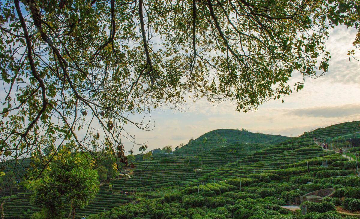 这十八项衡阳之最来自常宁市,想知道的可以了解一下!