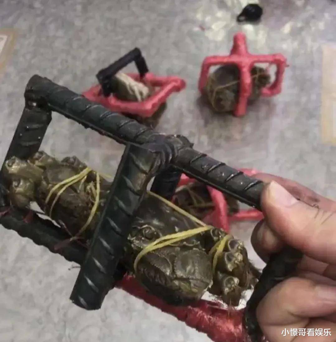 一个狗符咒就可以达到巅峰了.动一动脑子:正确的答案等于什么?