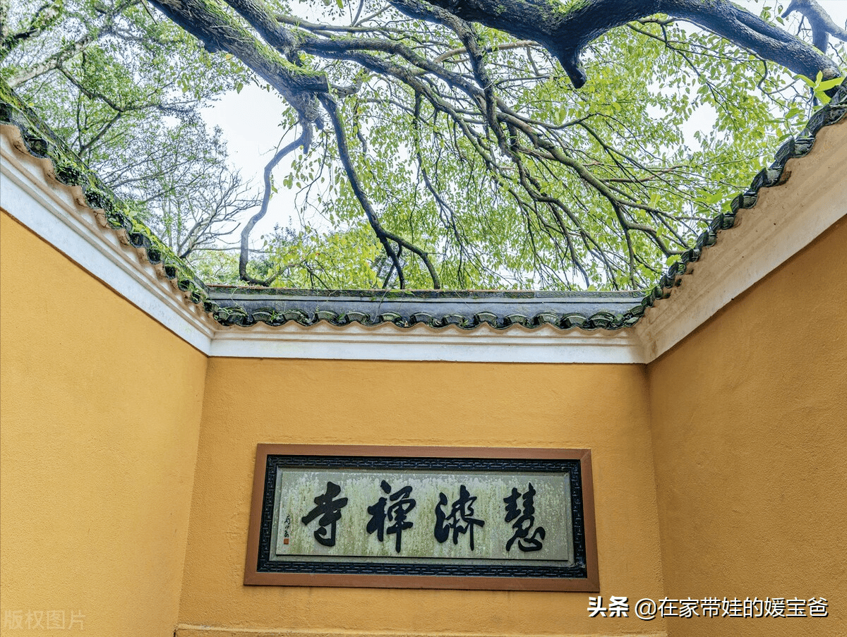 海天佛國普陀山,觀音道場,祈福拜佛 一生應該去的一個地方_寺廟_建議