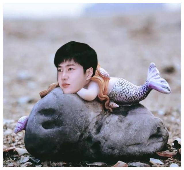 王一博因"人鱼"再登热搜,只是这表情包也是绝了_电影_作品_认可