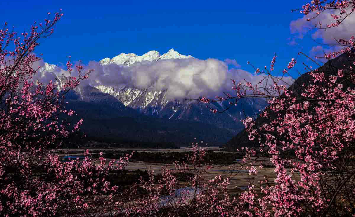 滇藏大环线香格里拉,梅里雪山,盐井,古乡湖,波密/林芝桃花,羊湖摄影团