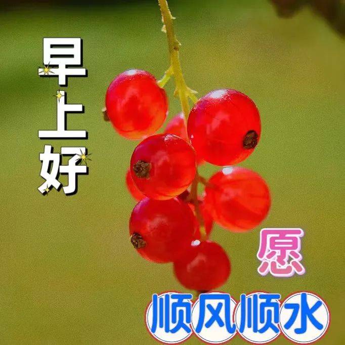 8张创意好看的春日清晨早上好祝福图片 最新早上好问候语图片